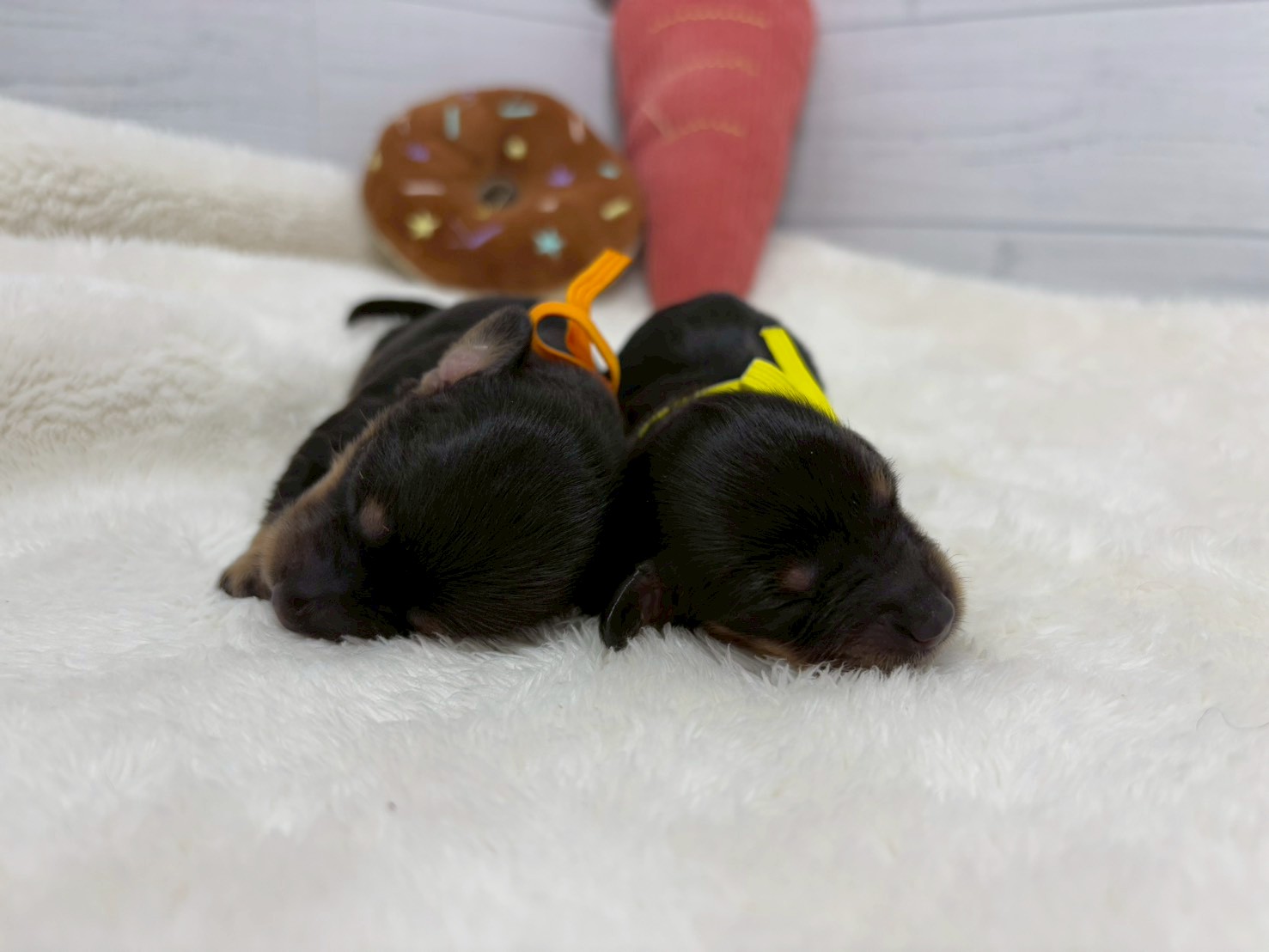 赤ちゃん写真1-3