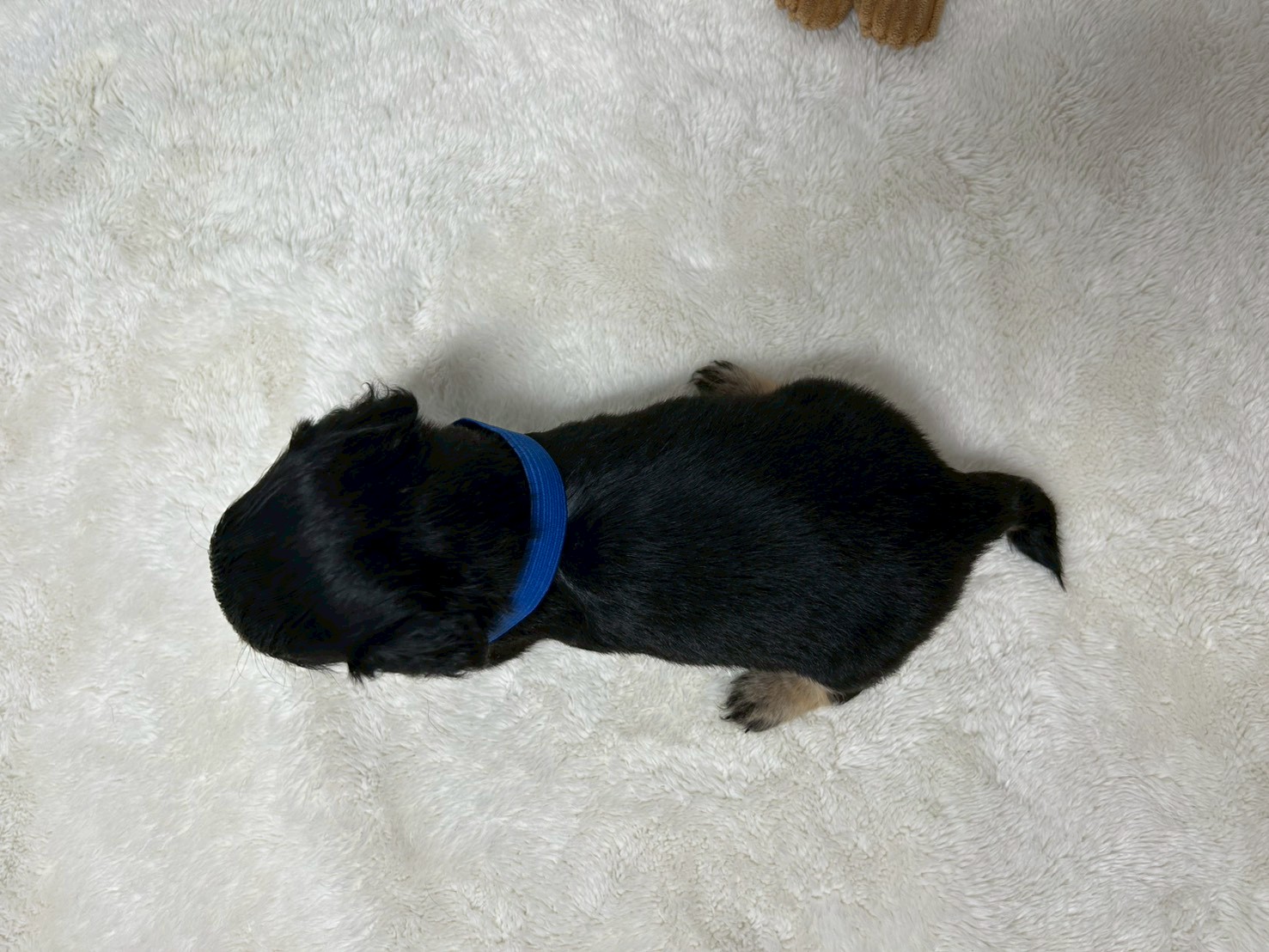 赤ちゃん写真2-3
