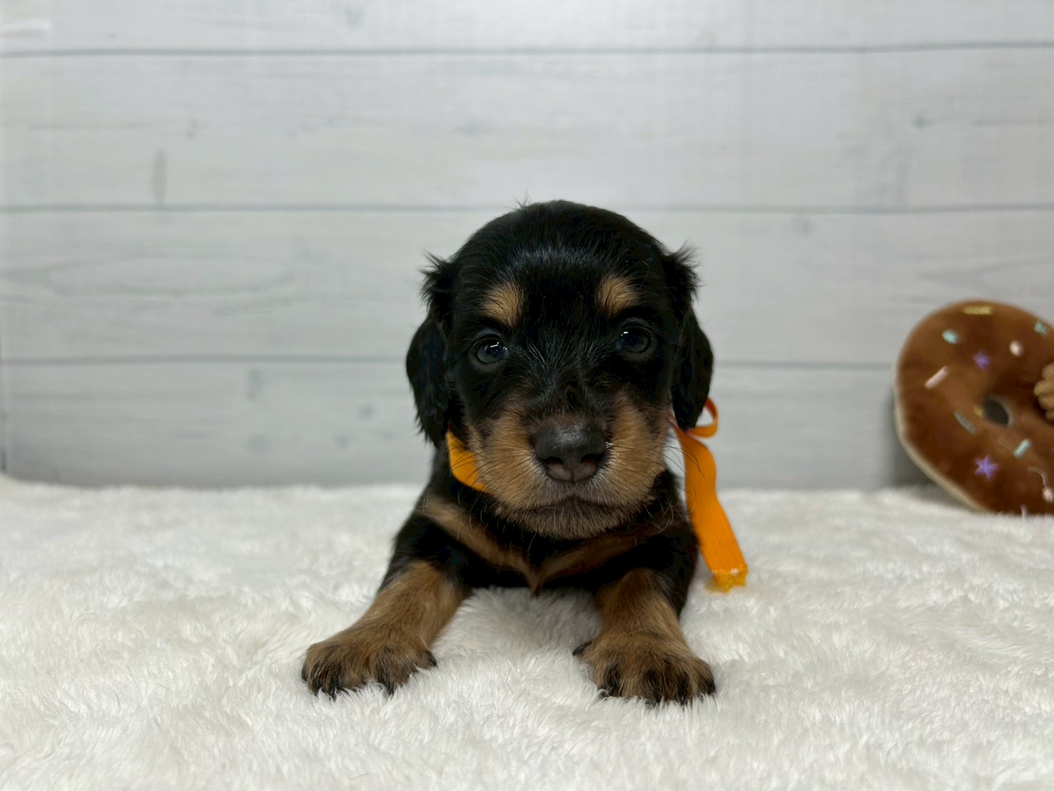 赤ちゃん写真2-1