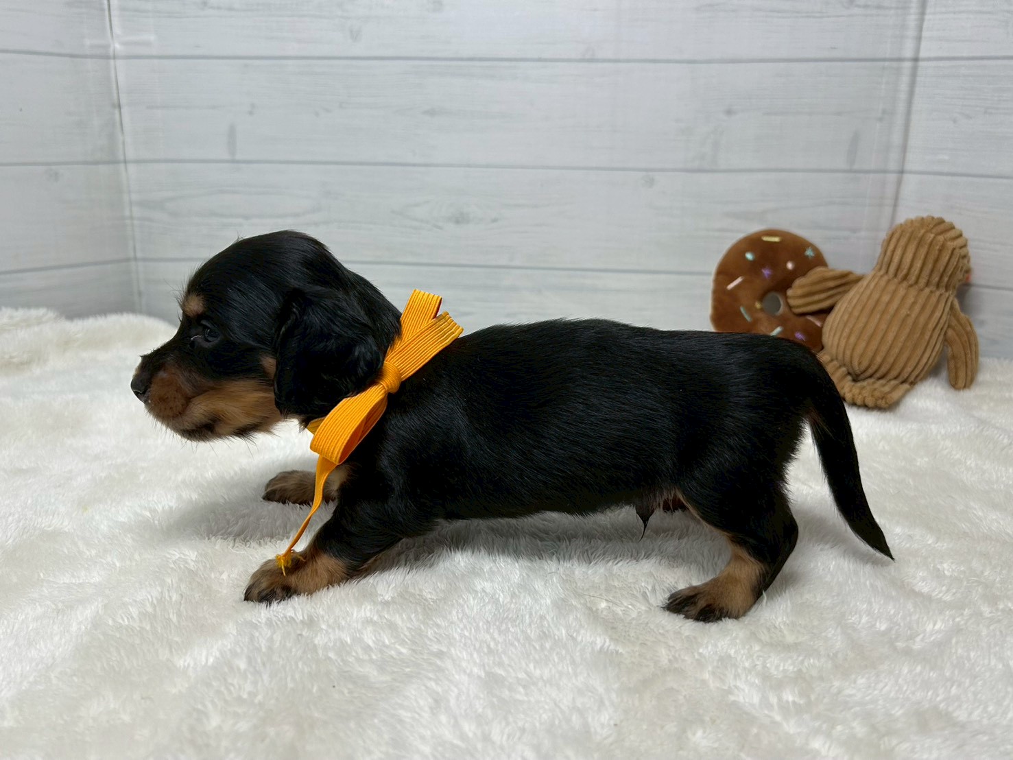 赤ちゃん写真2-2