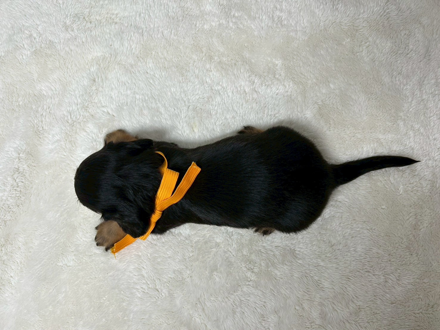 赤ちゃん写真2-3