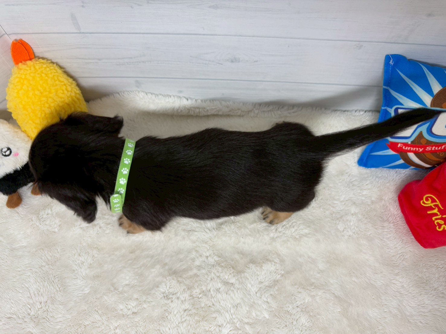赤ちゃん写真3-3