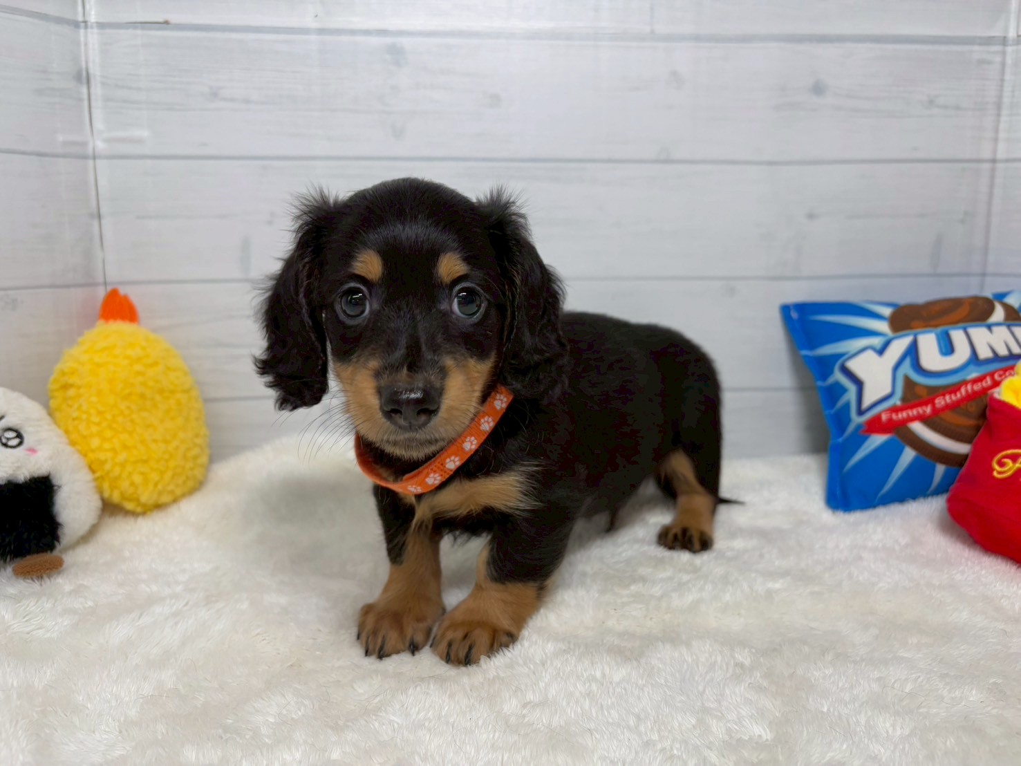 赤ちゃん写真3-1