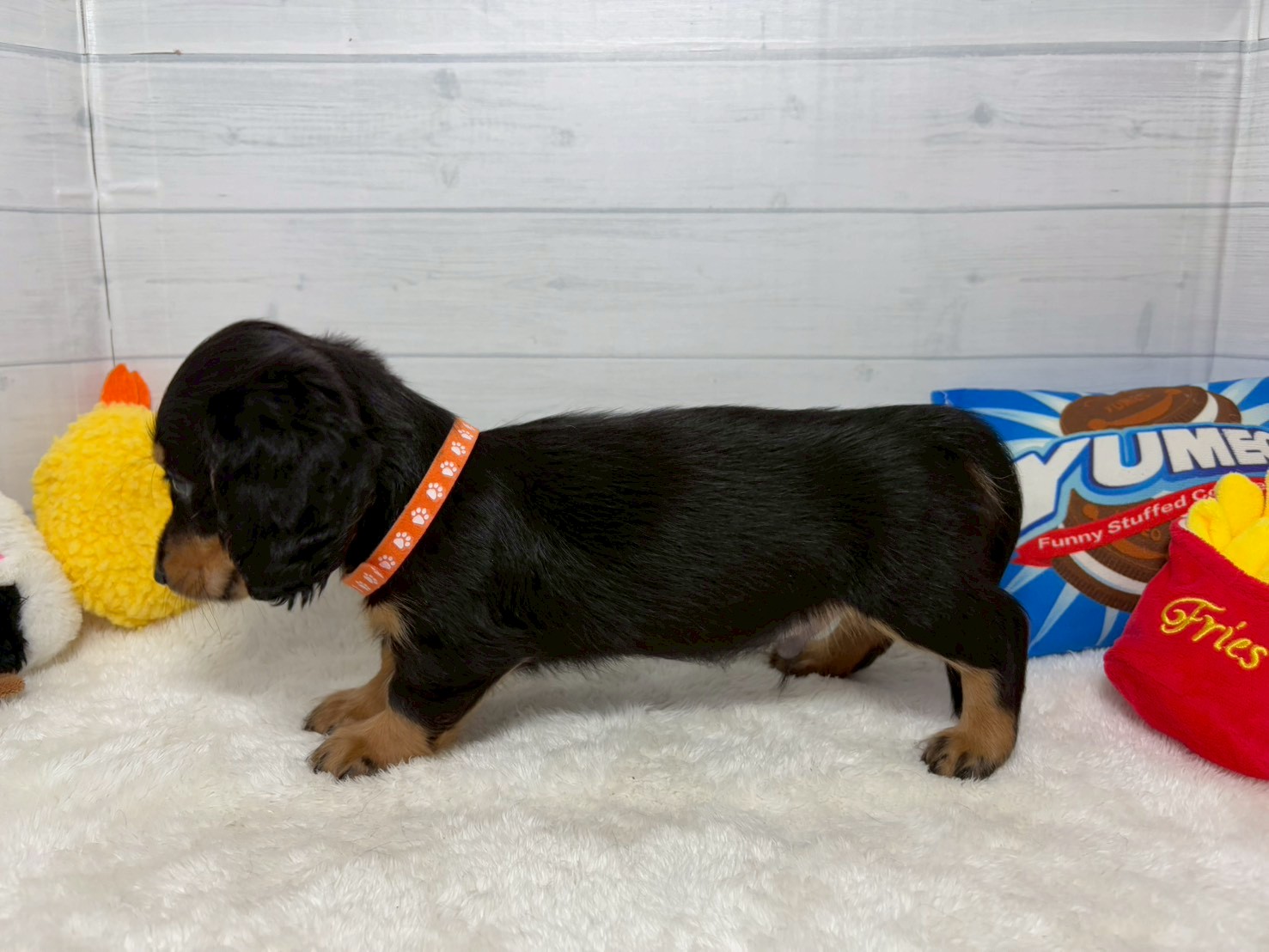 赤ちゃん写真3-2