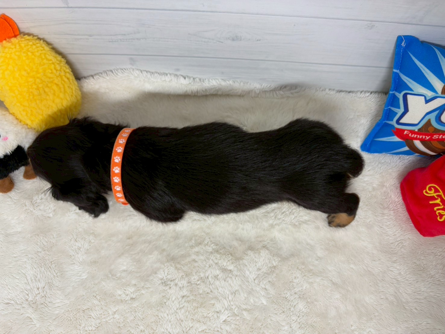 赤ちゃん写真3-3