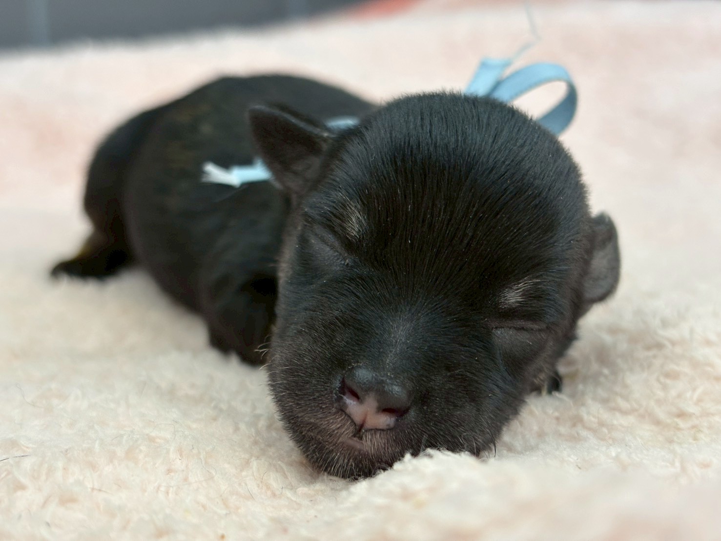 赤ちゃん写真1-1