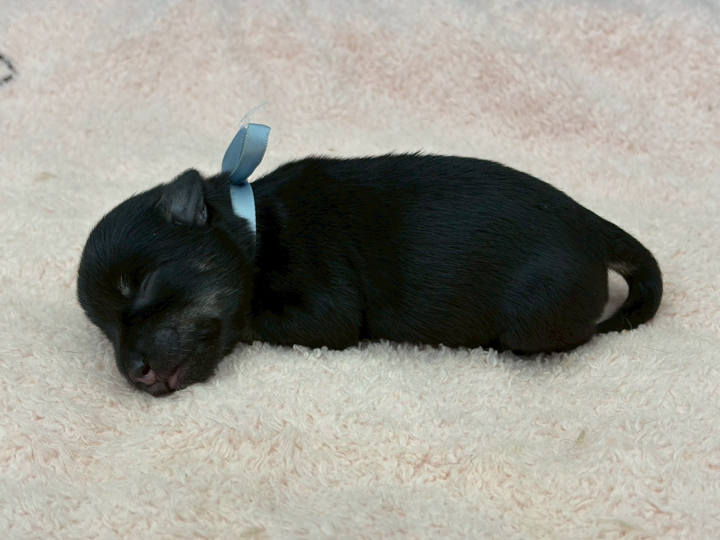 赤ちゃん写真1-2