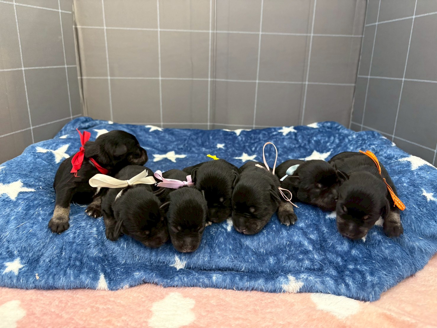 赤ちゃん写真1-3