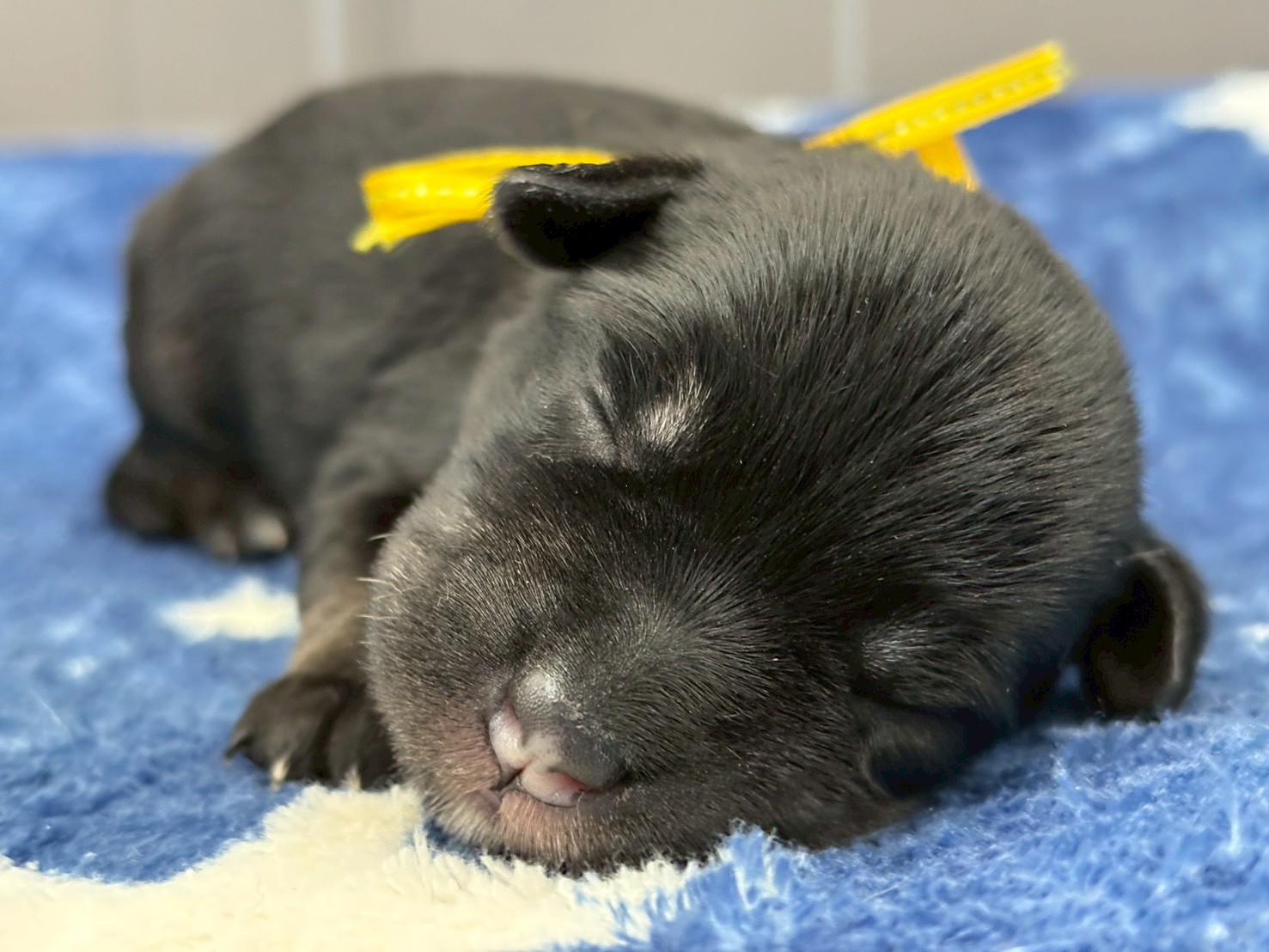 赤ちゃん写真1-1