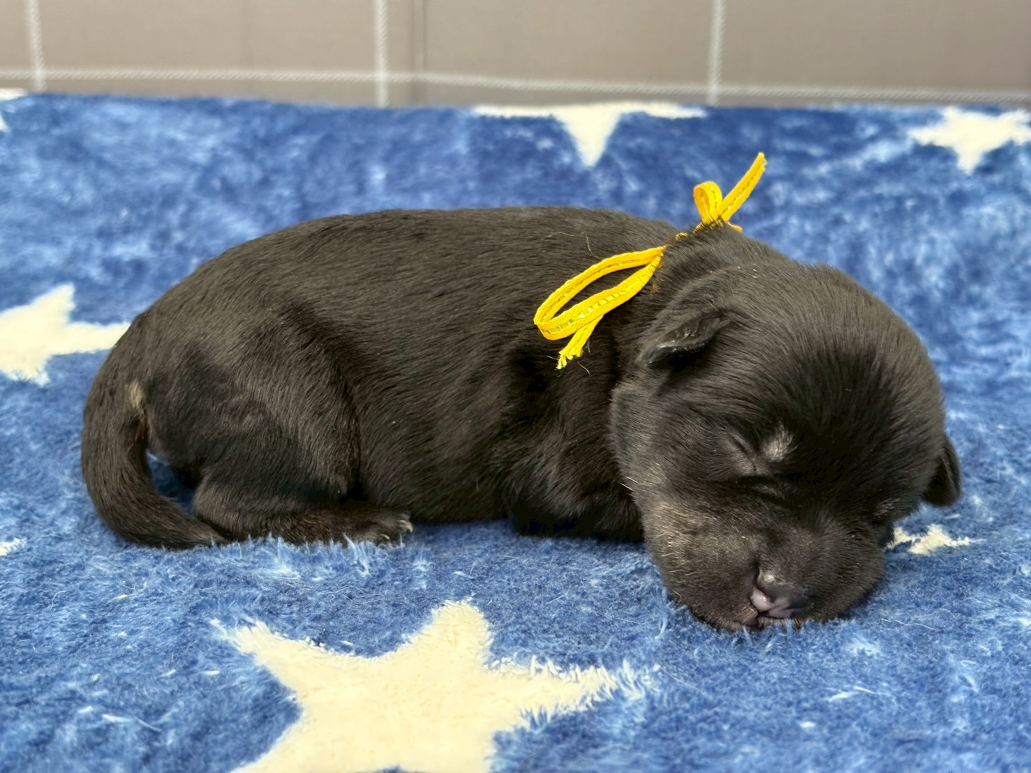 赤ちゃん写真1-2