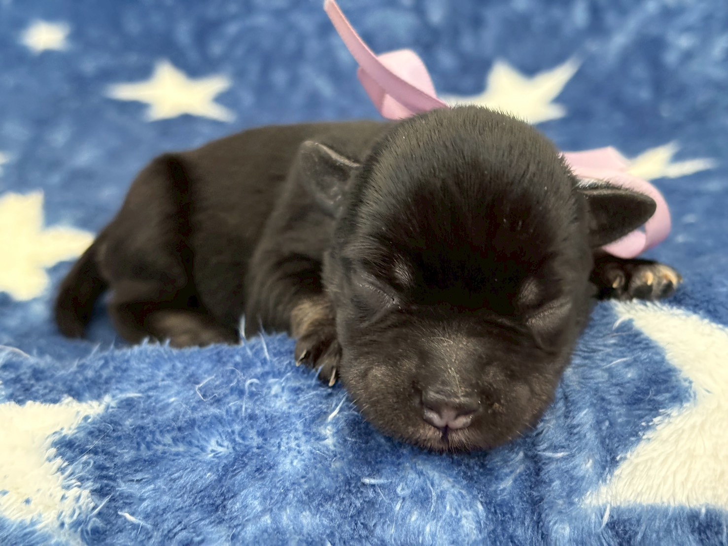 赤ちゃん写真1-1