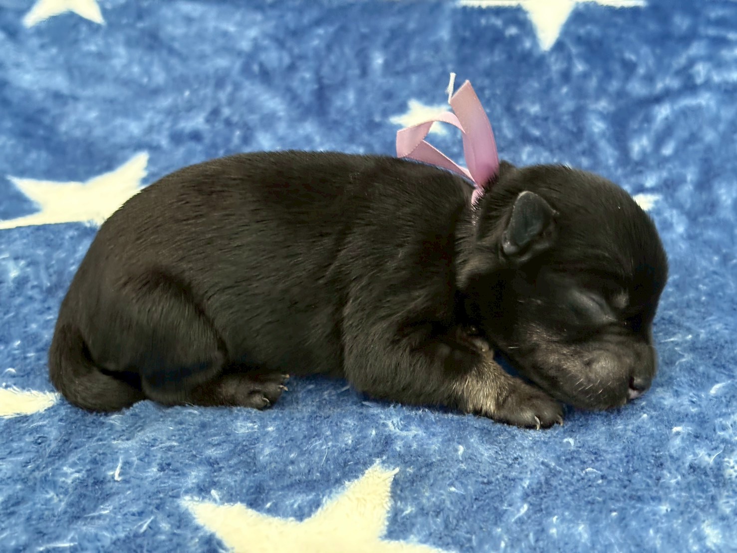 赤ちゃん写真1-2