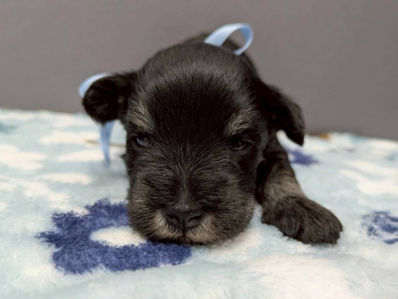 赤ちゃん写真2-1