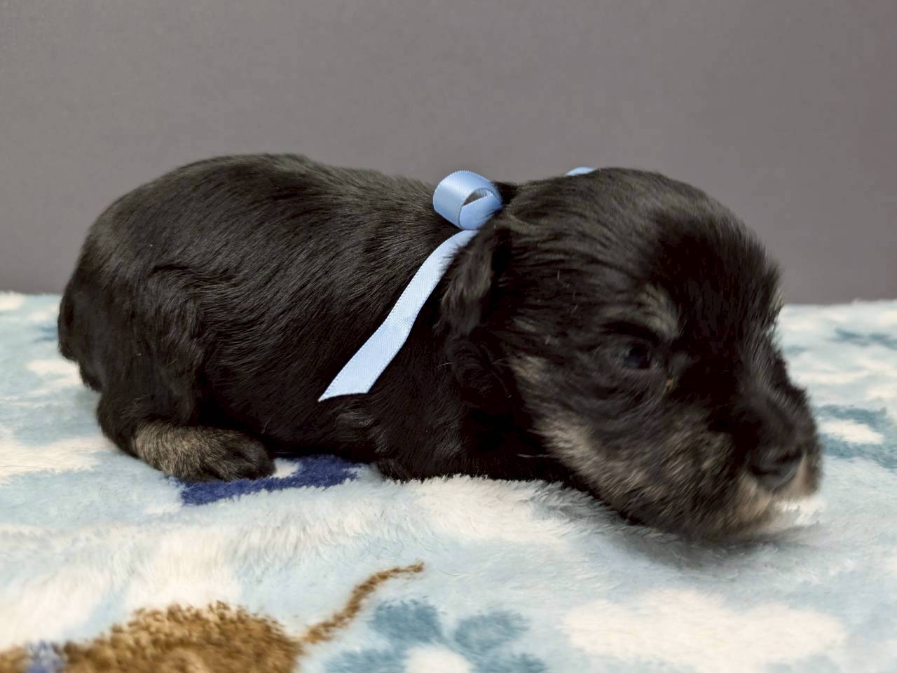 赤ちゃん写真2-2