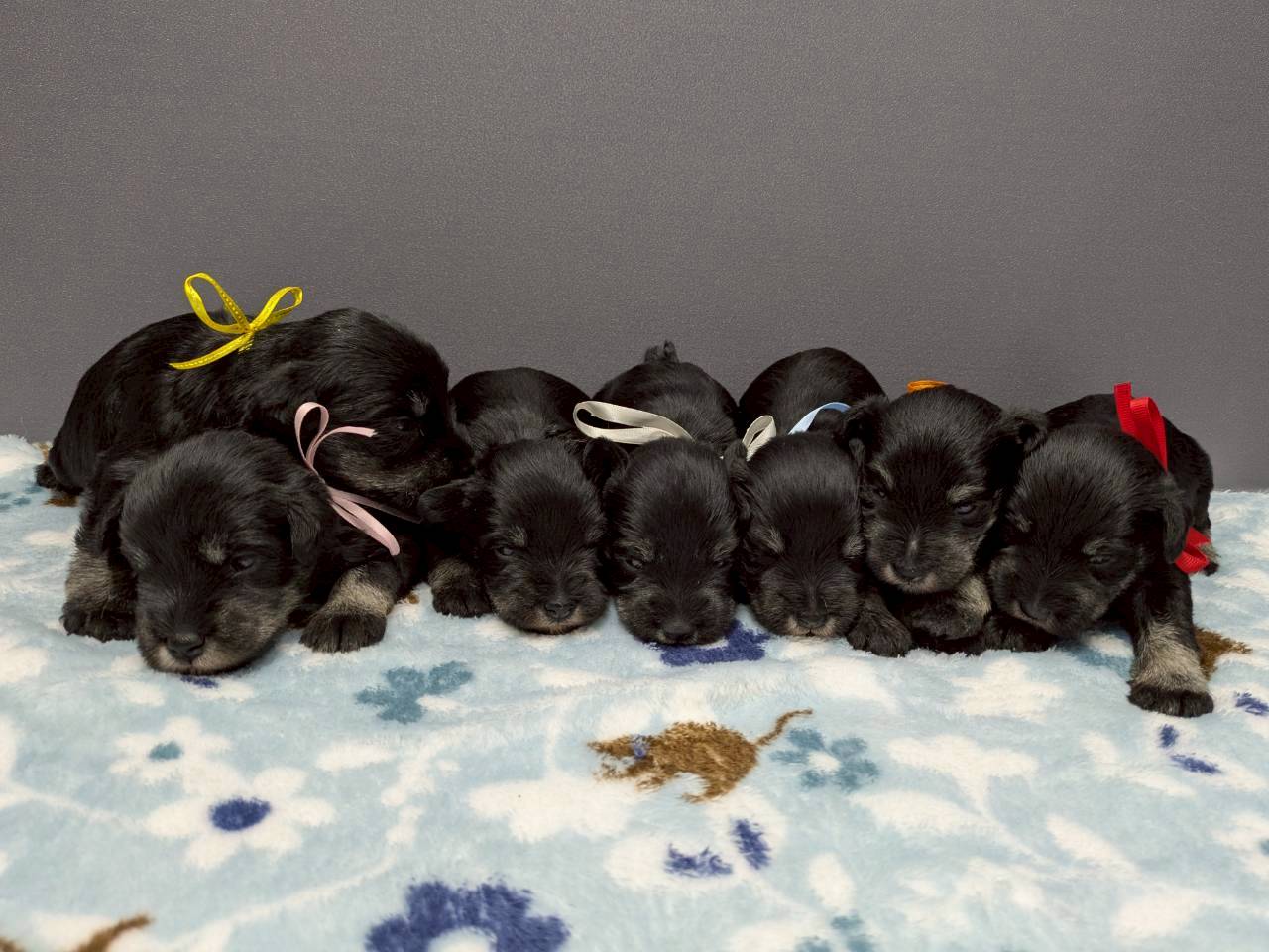 赤ちゃん写真2-3