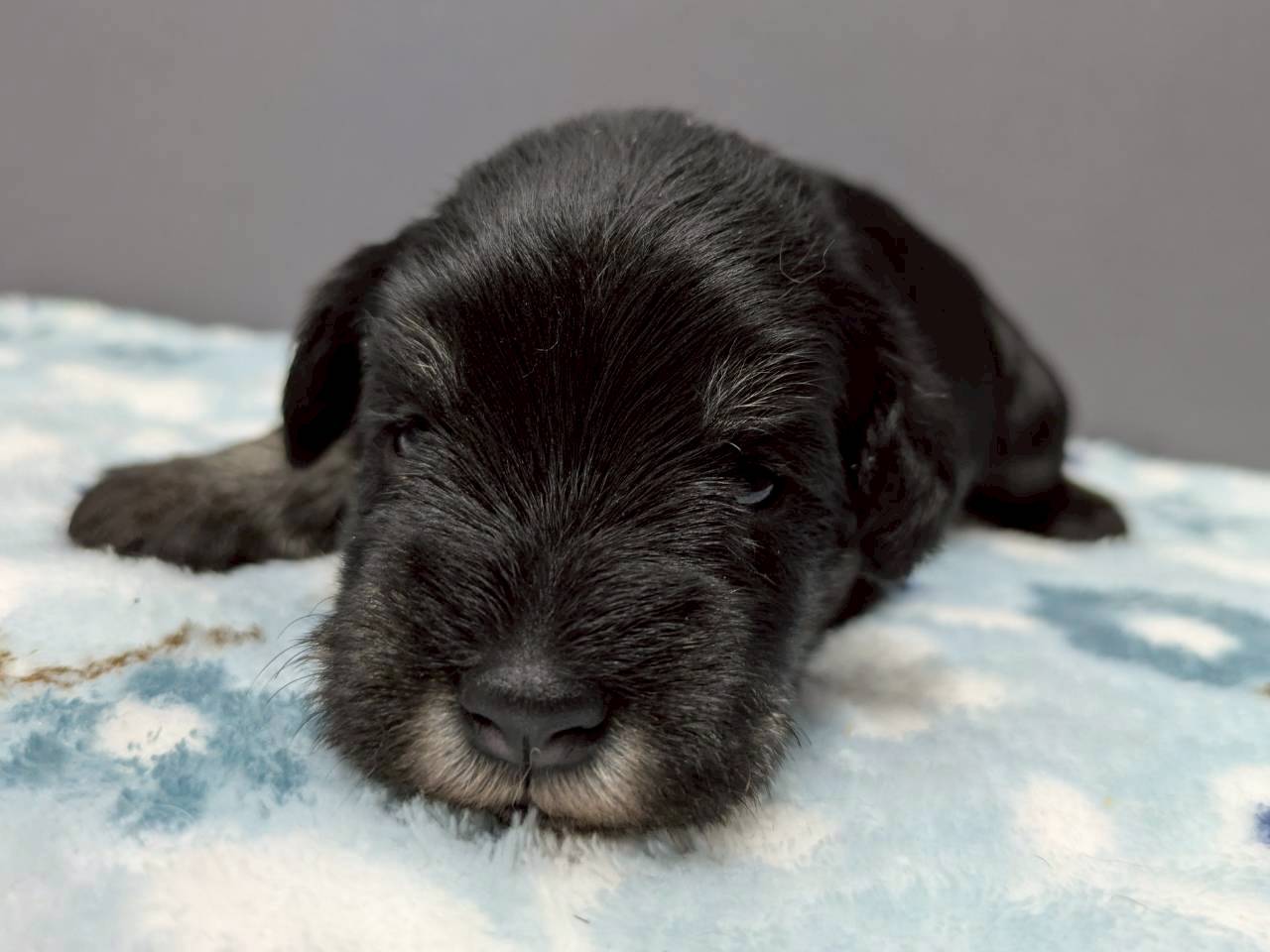 赤ちゃん写真2-1