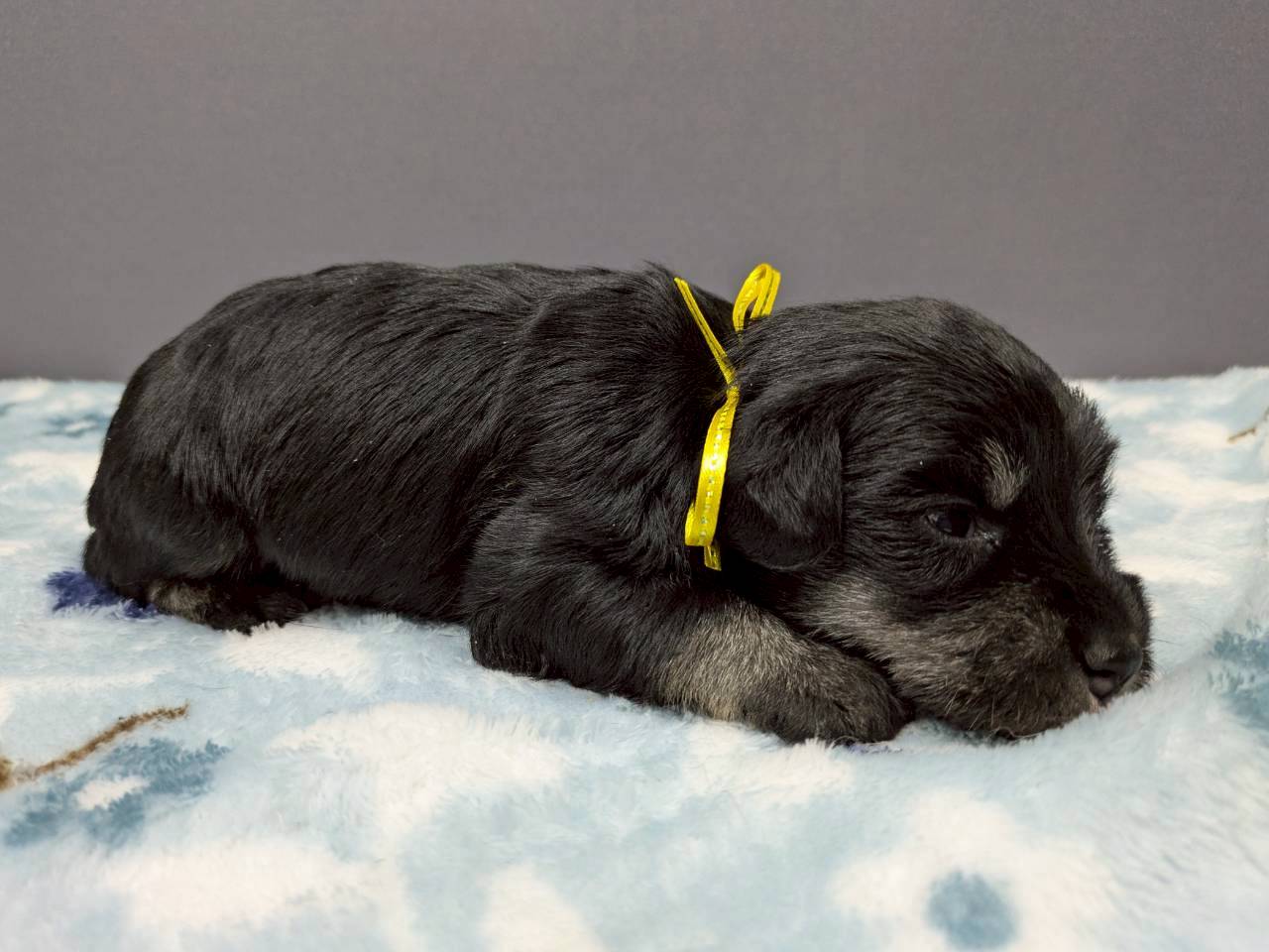 赤ちゃん写真2-2