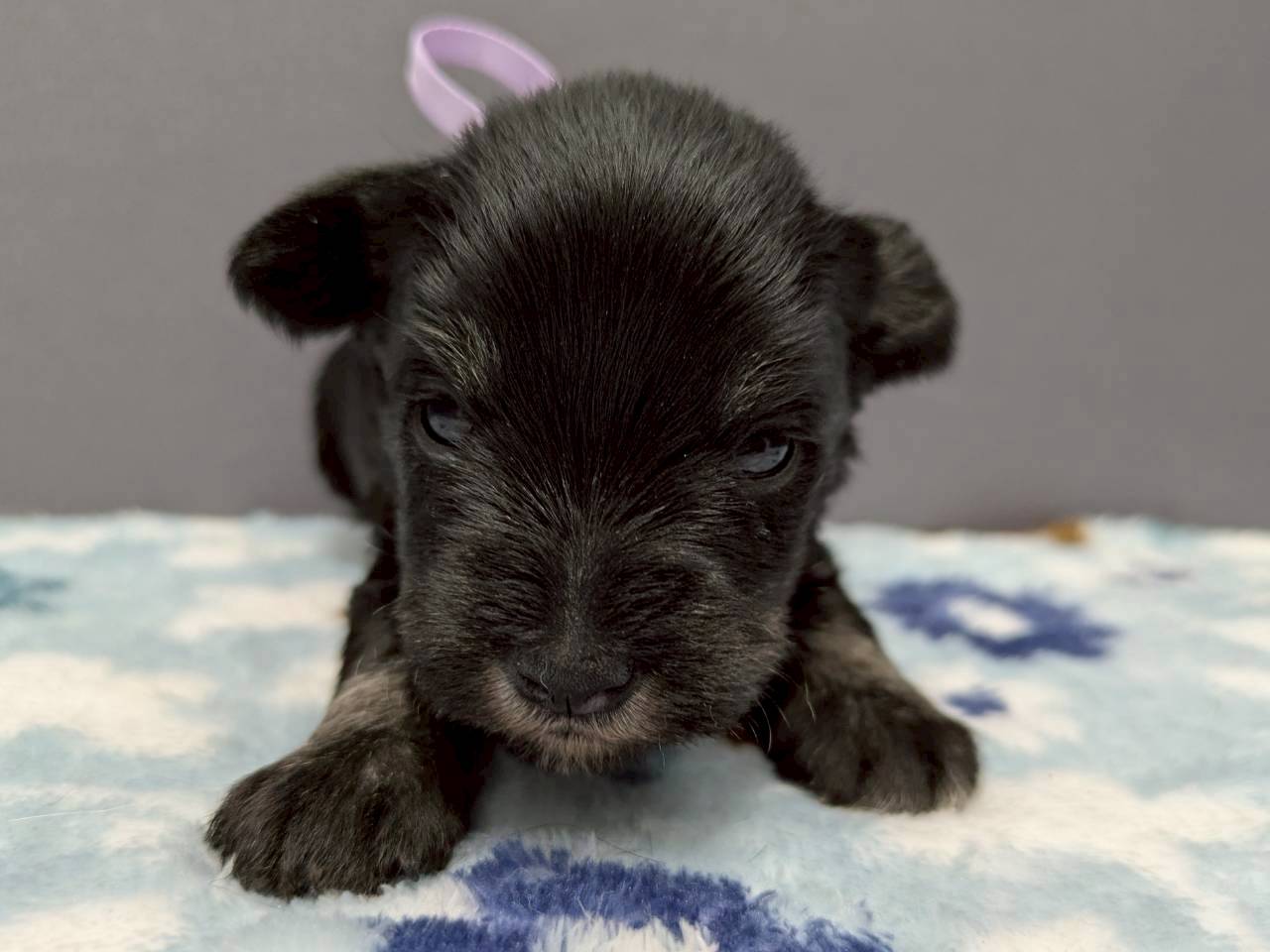 赤ちゃん写真2-1