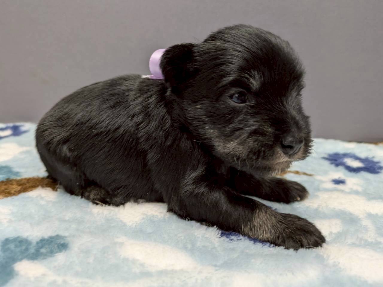 赤ちゃん写真2-2