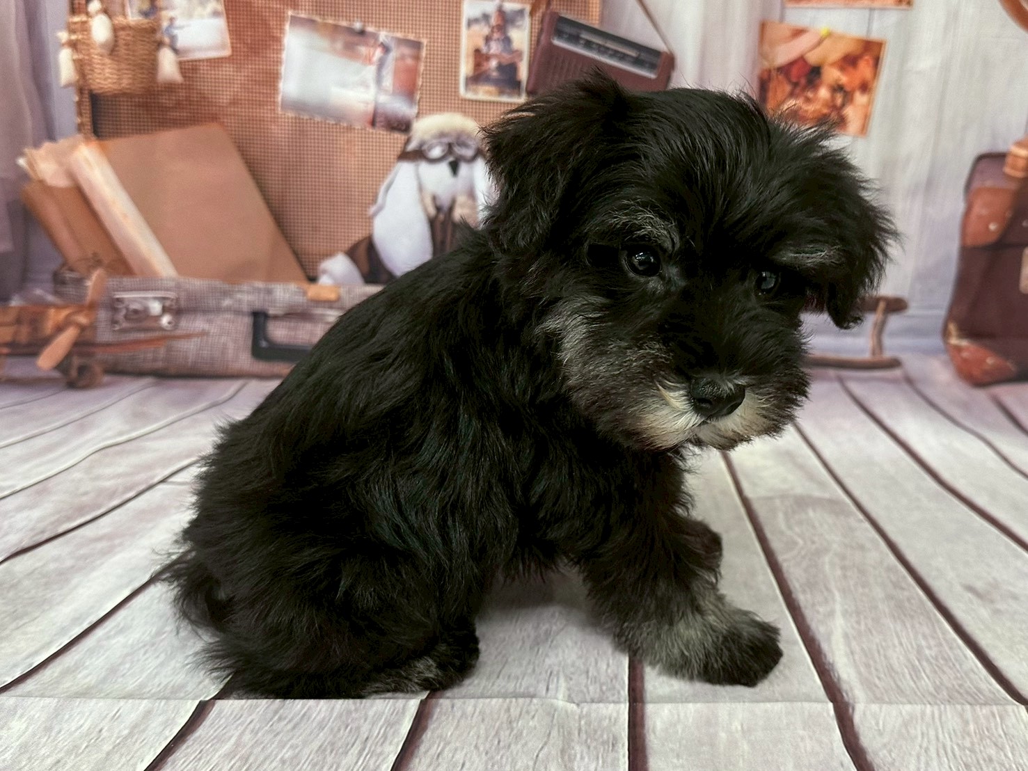 赤ちゃん写真3-2