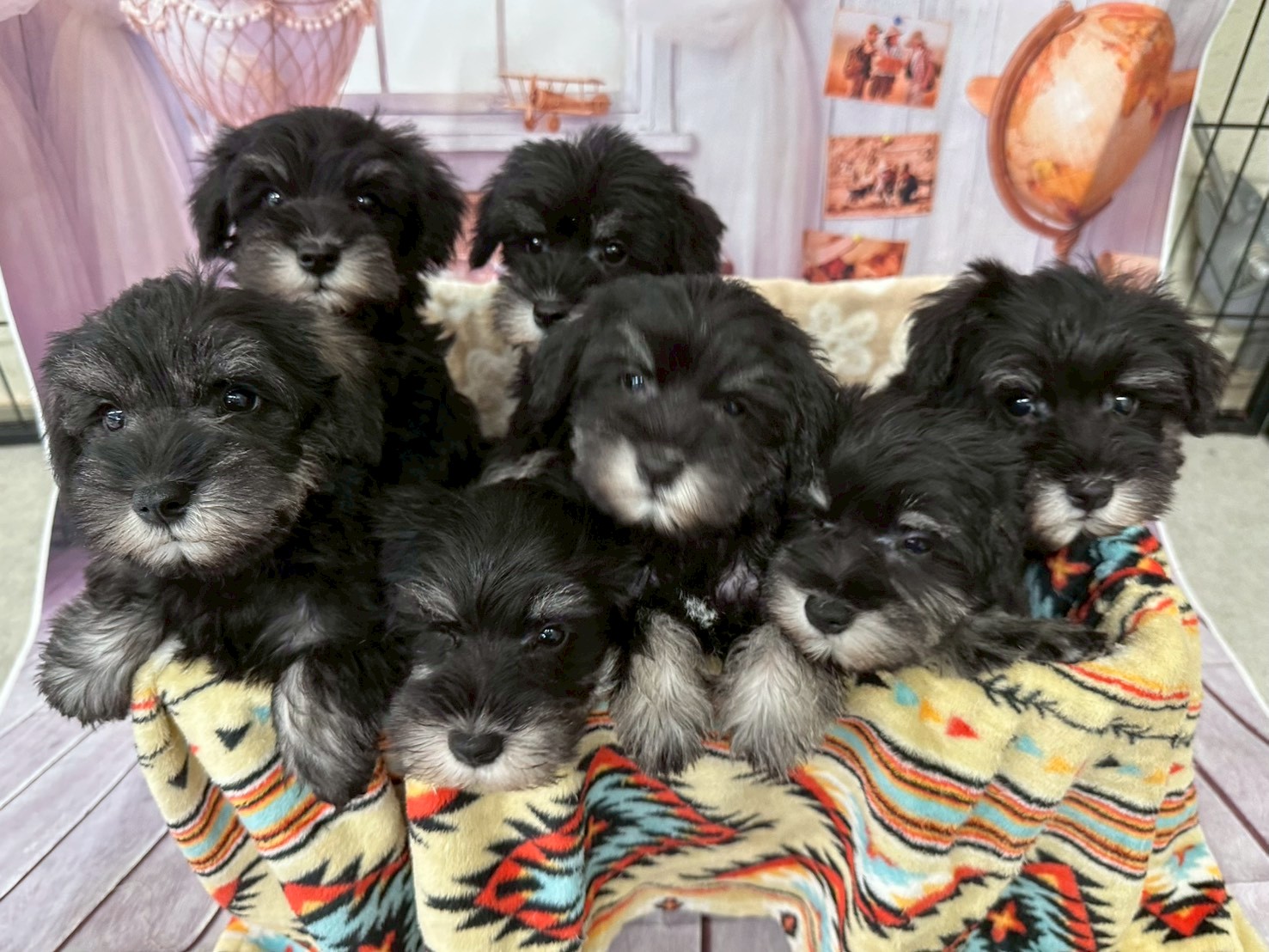 赤ちゃん写真3-3