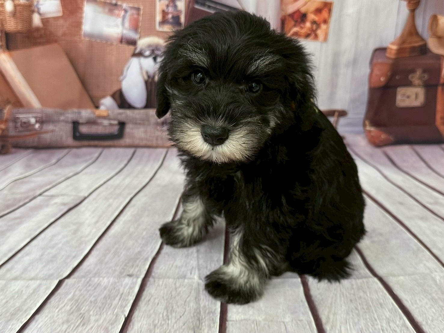 赤ちゃん写真3-2