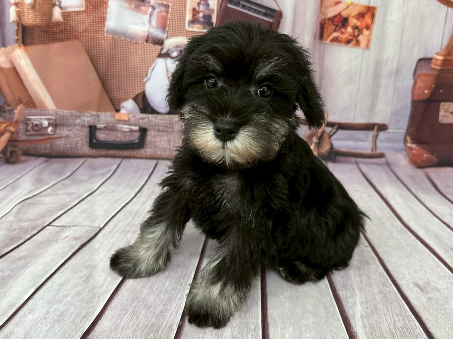 赤ちゃん写真3-2