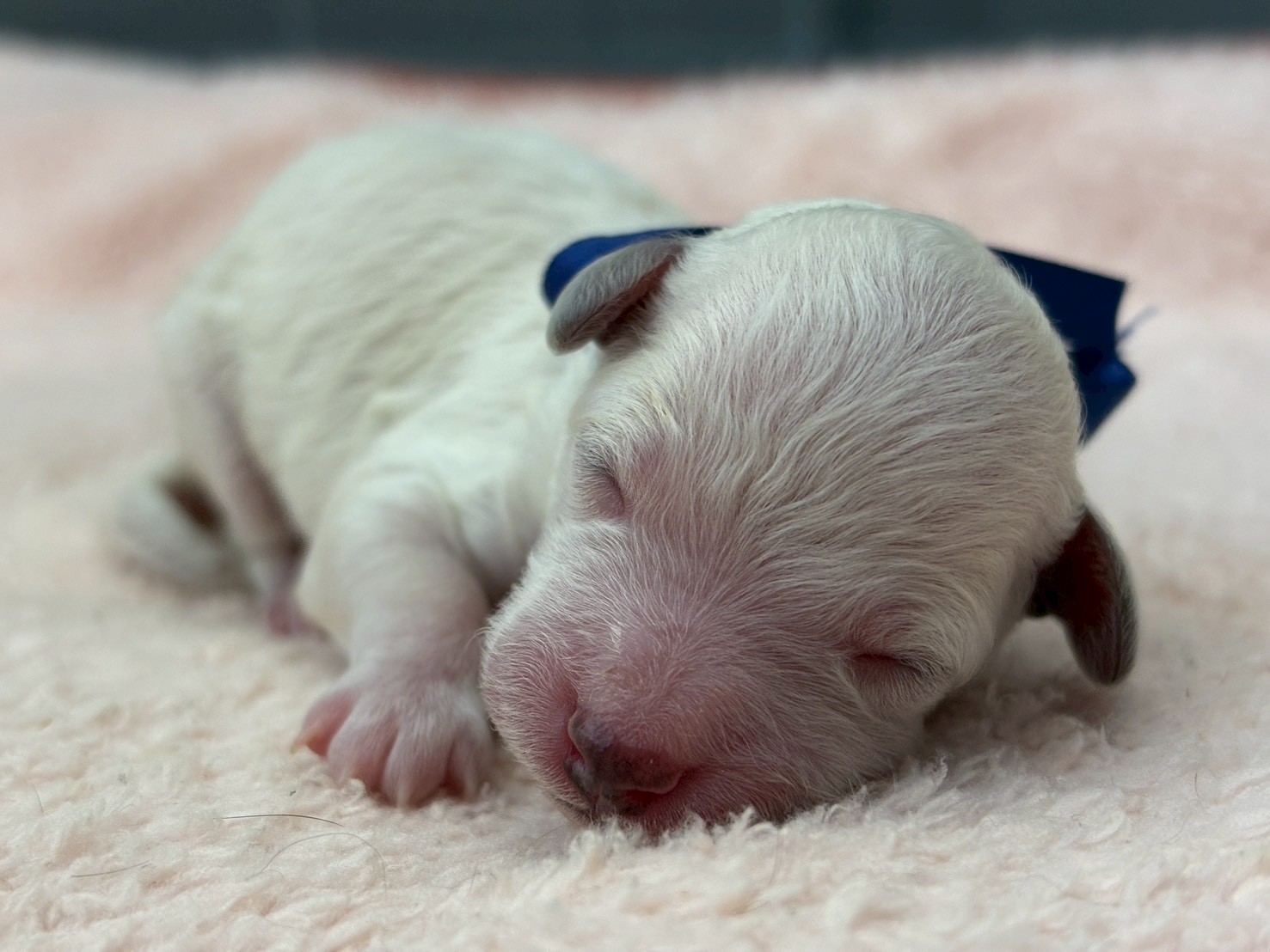 赤ちゃん写真1-1