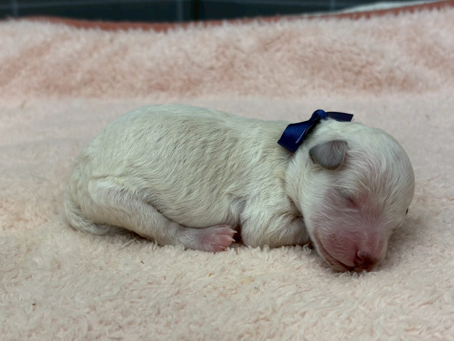 赤ちゃん写真1-2