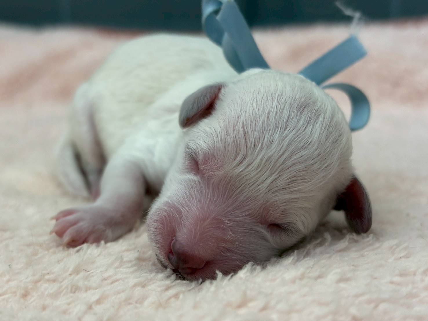 赤ちゃん写真1-1