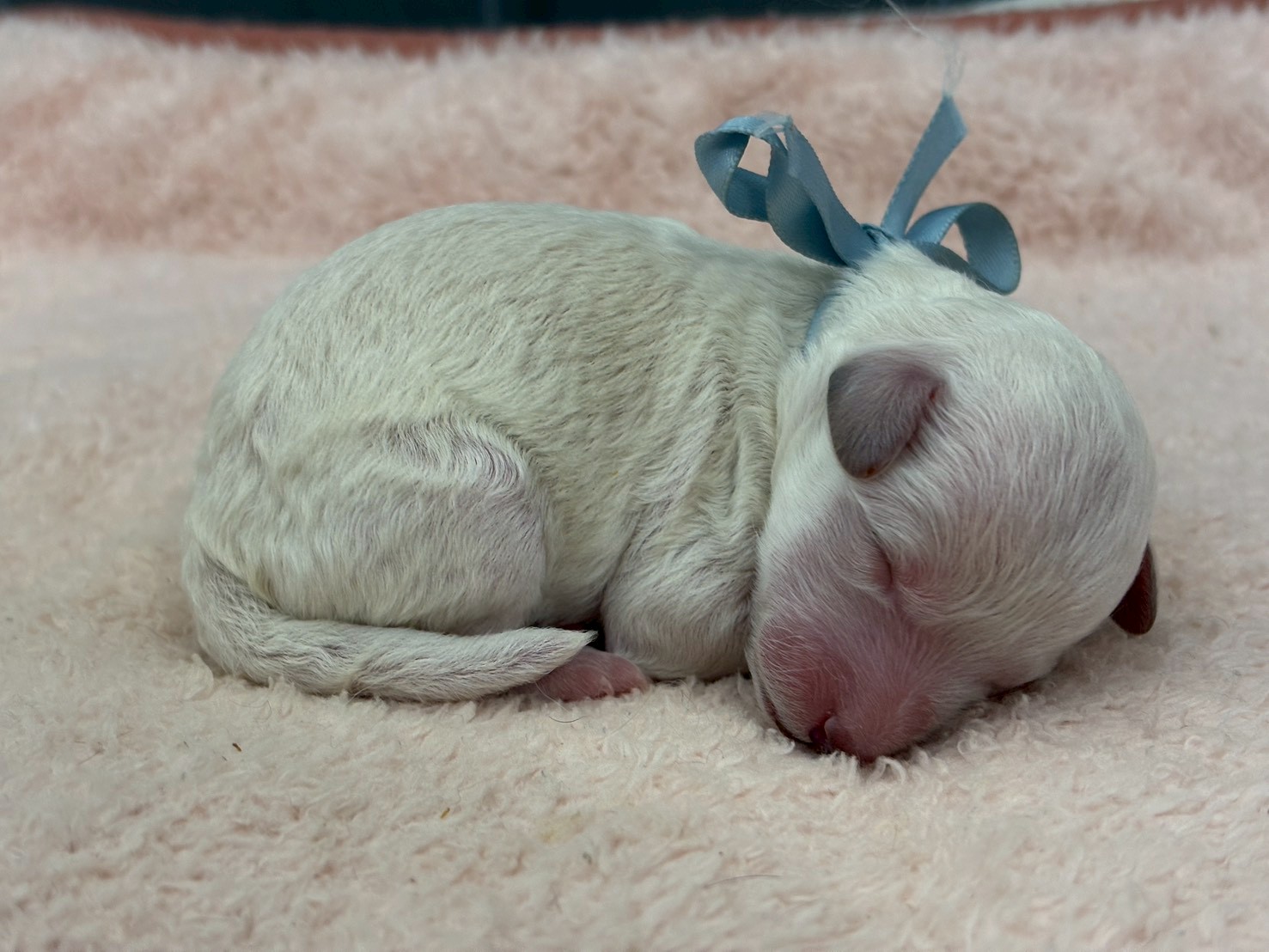 赤ちゃん写真1-2