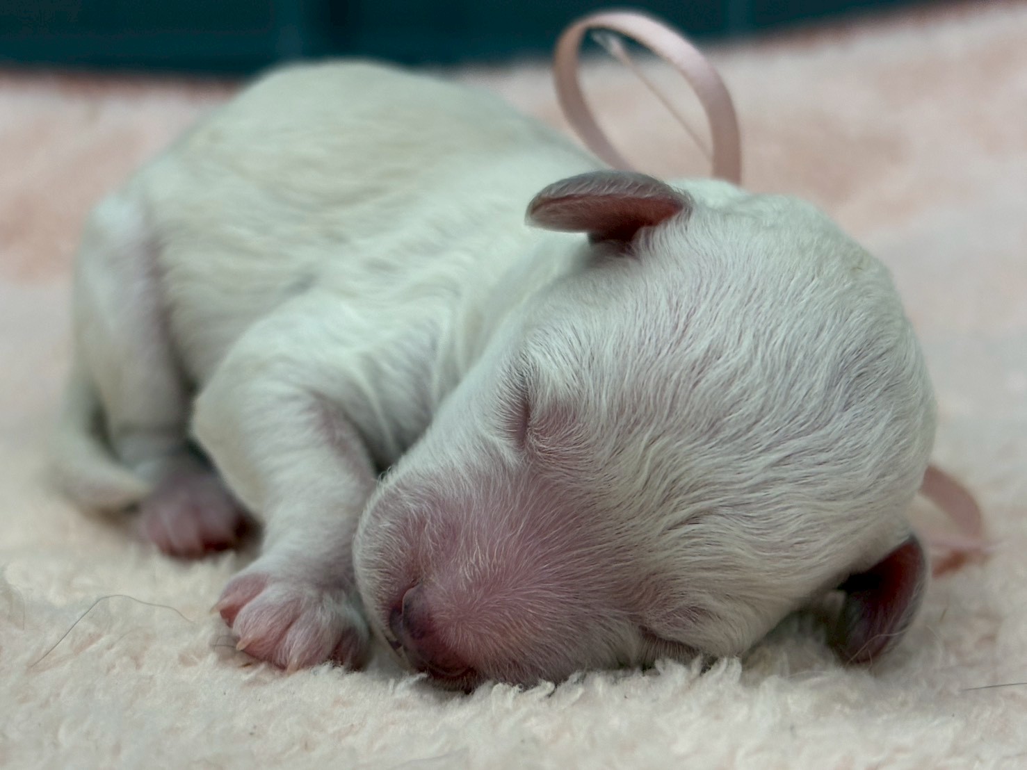 赤ちゃん写真1-1