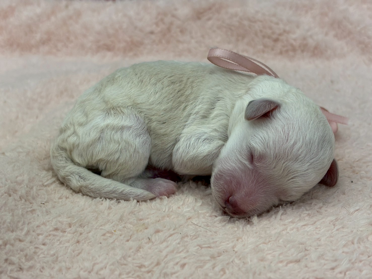 赤ちゃん写真1-2