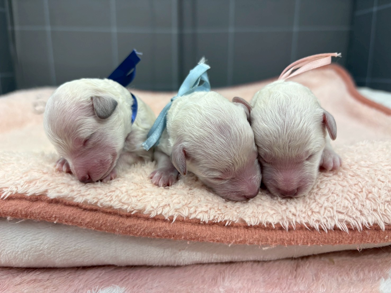 赤ちゃん写真1-3