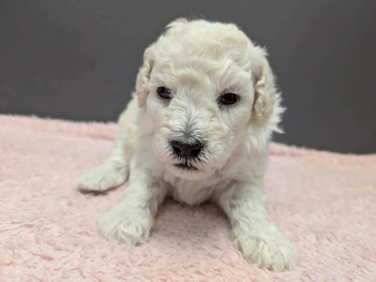 赤ちゃん写真2-1