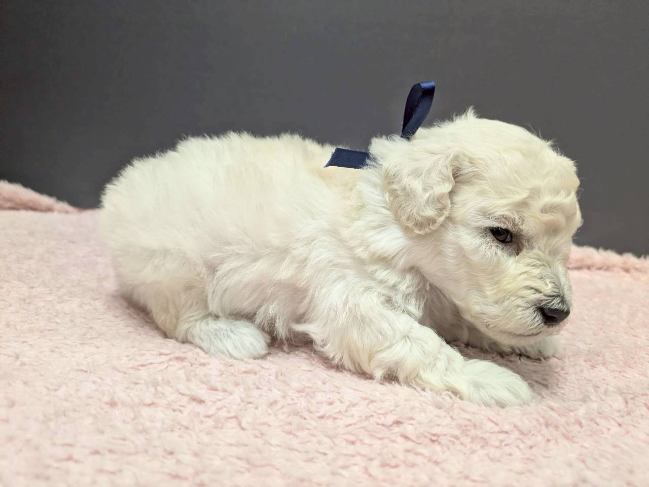 赤ちゃん写真2-2