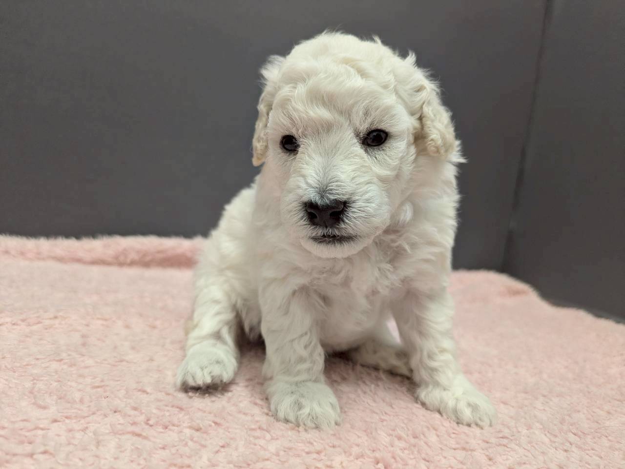 赤ちゃん写真2-1