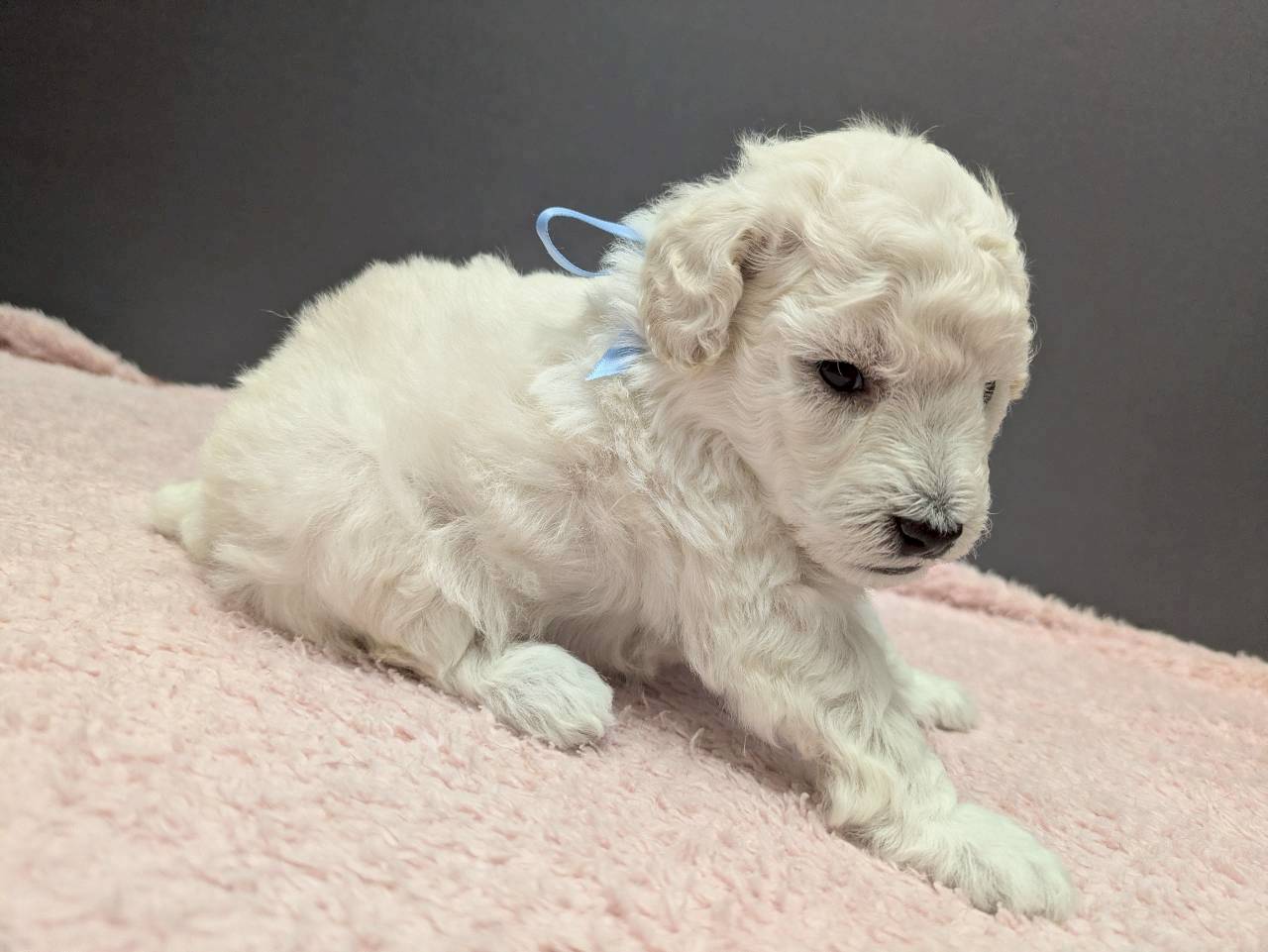 赤ちゃん写真2-2