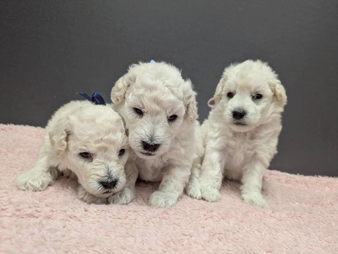 赤ちゃん写真2-3