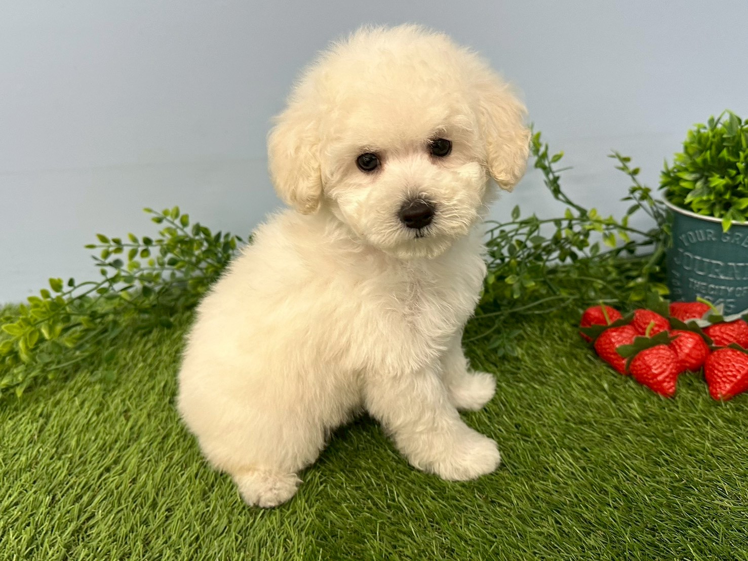 赤ちゃん写真3-2