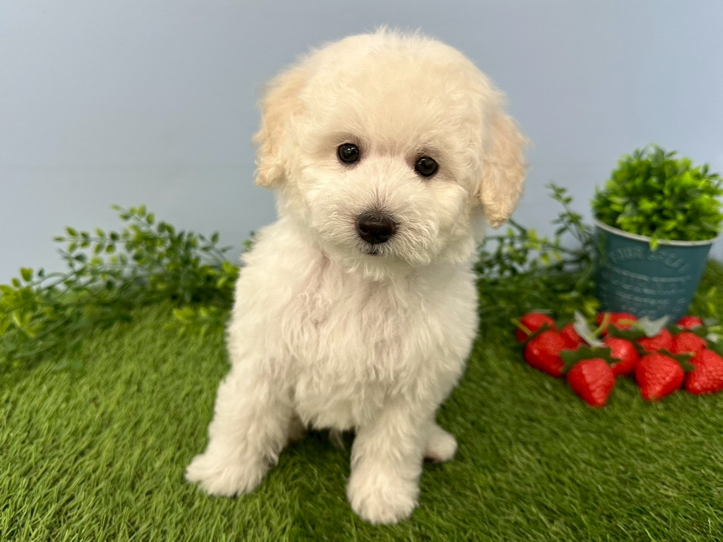 赤ちゃん写真3-1