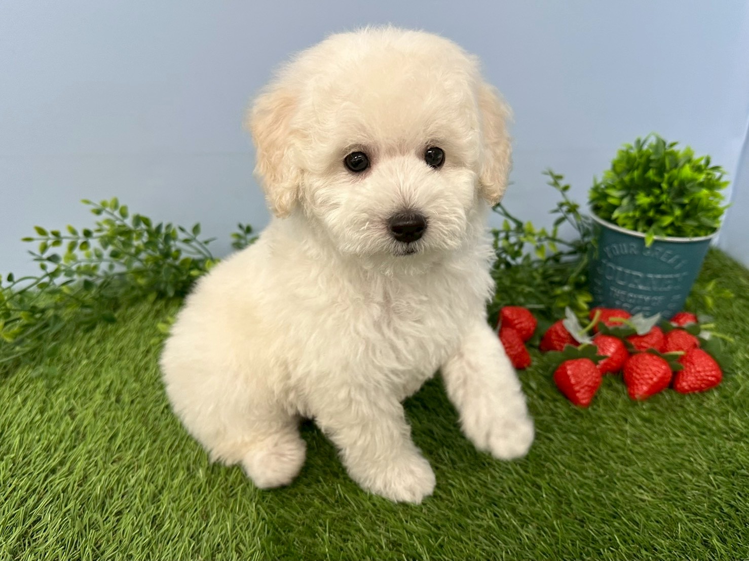 赤ちゃん写真3-2