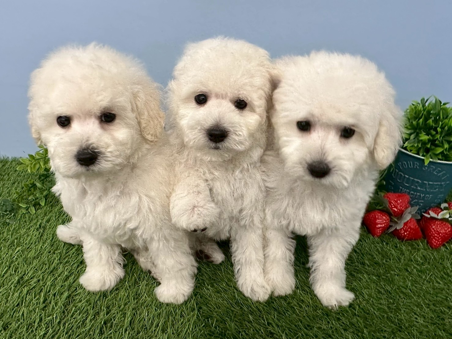 赤ちゃん写真3-3