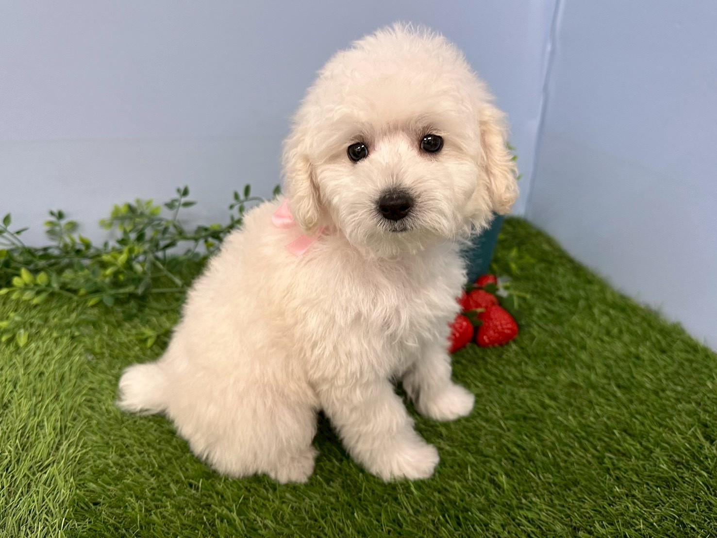 赤ちゃん写真3-2