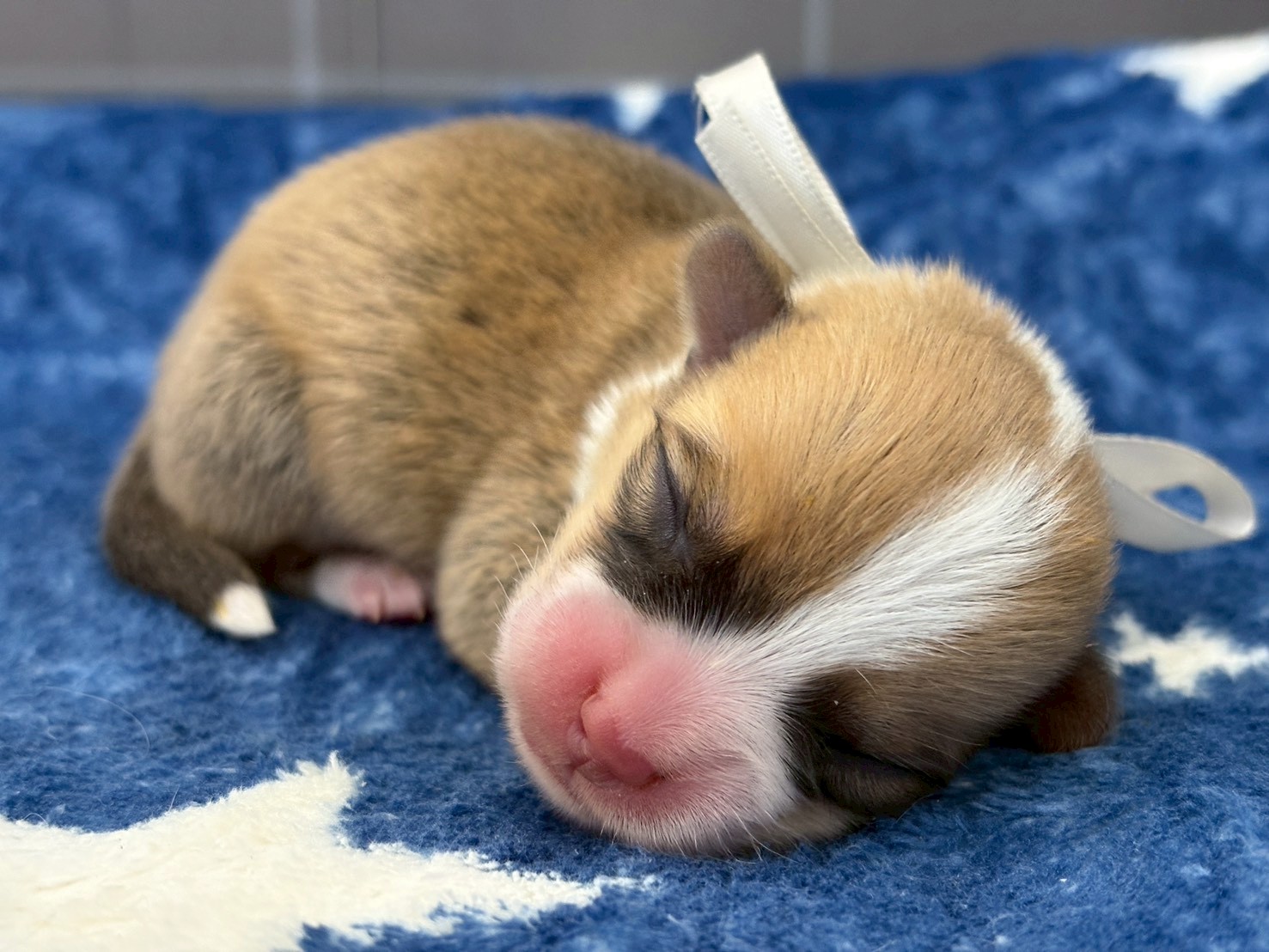 赤ちゃん写真1-1