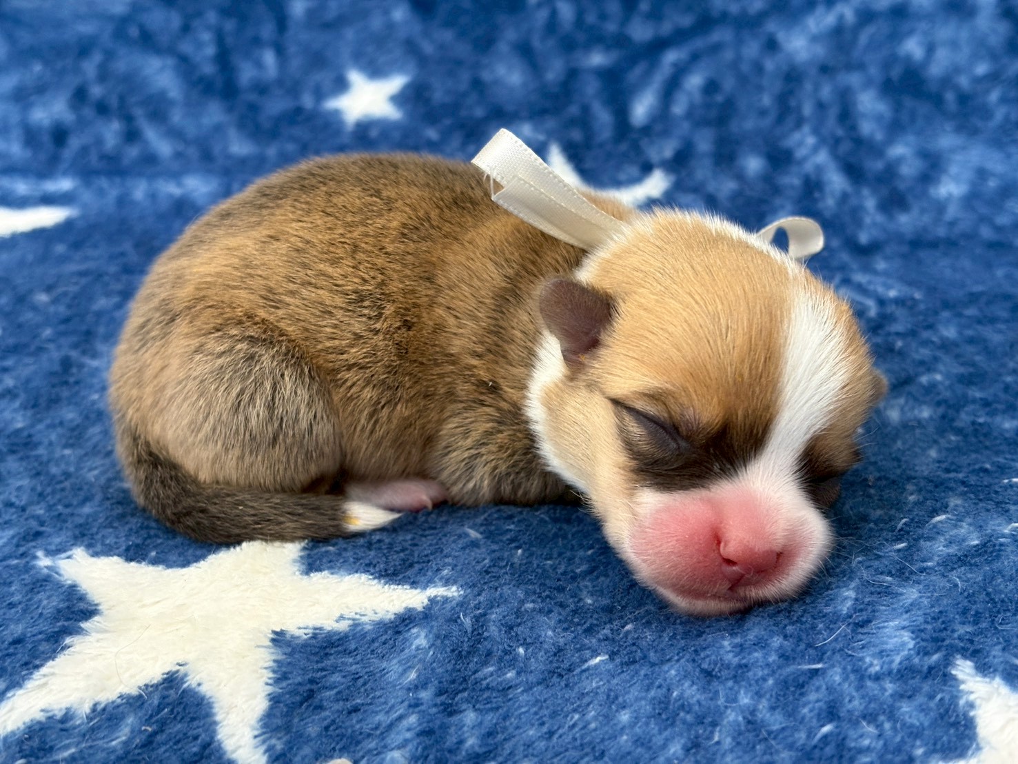 赤ちゃん写真1-2