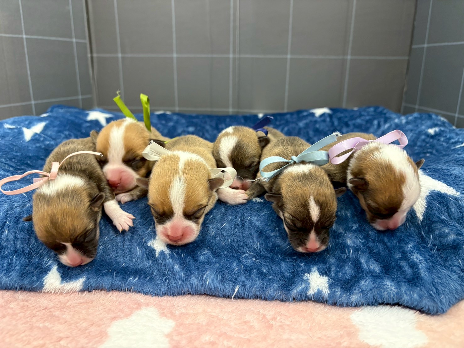 赤ちゃん写真1-3