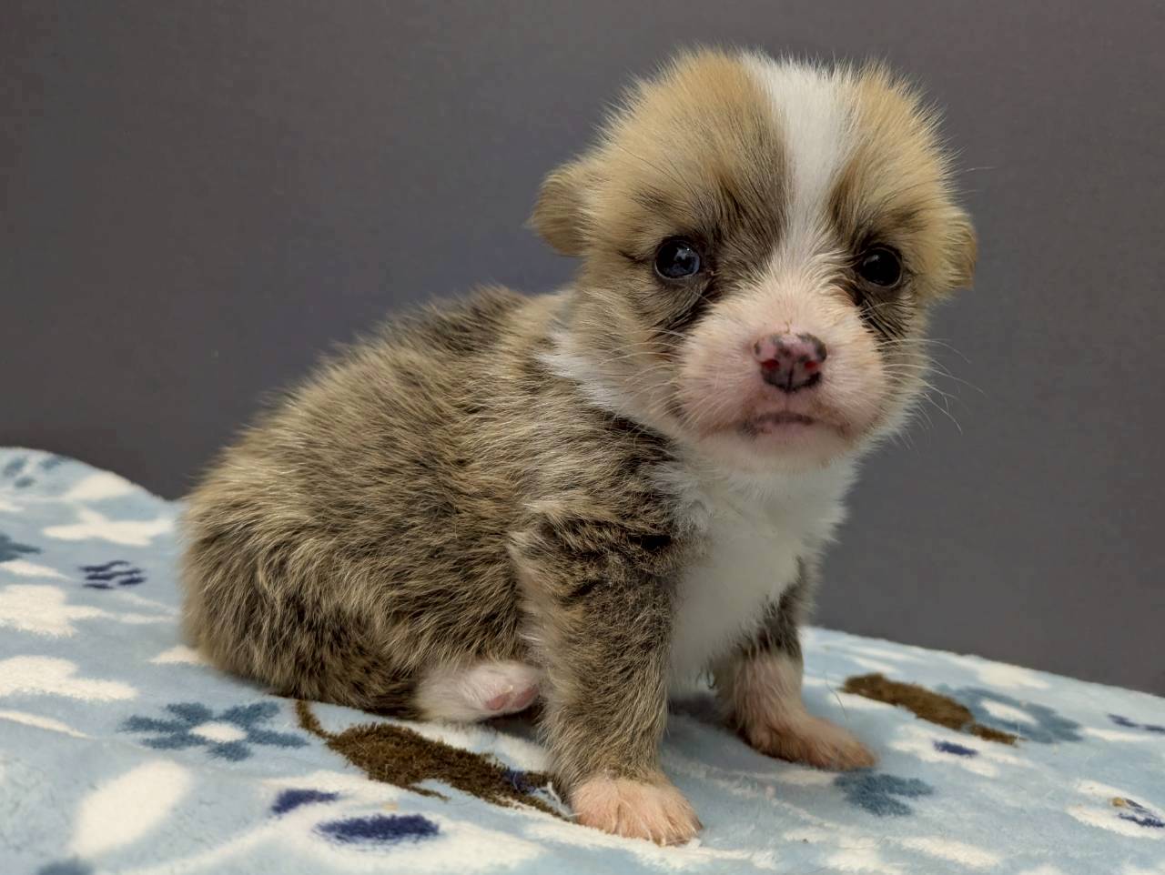 赤ちゃん写真2-2