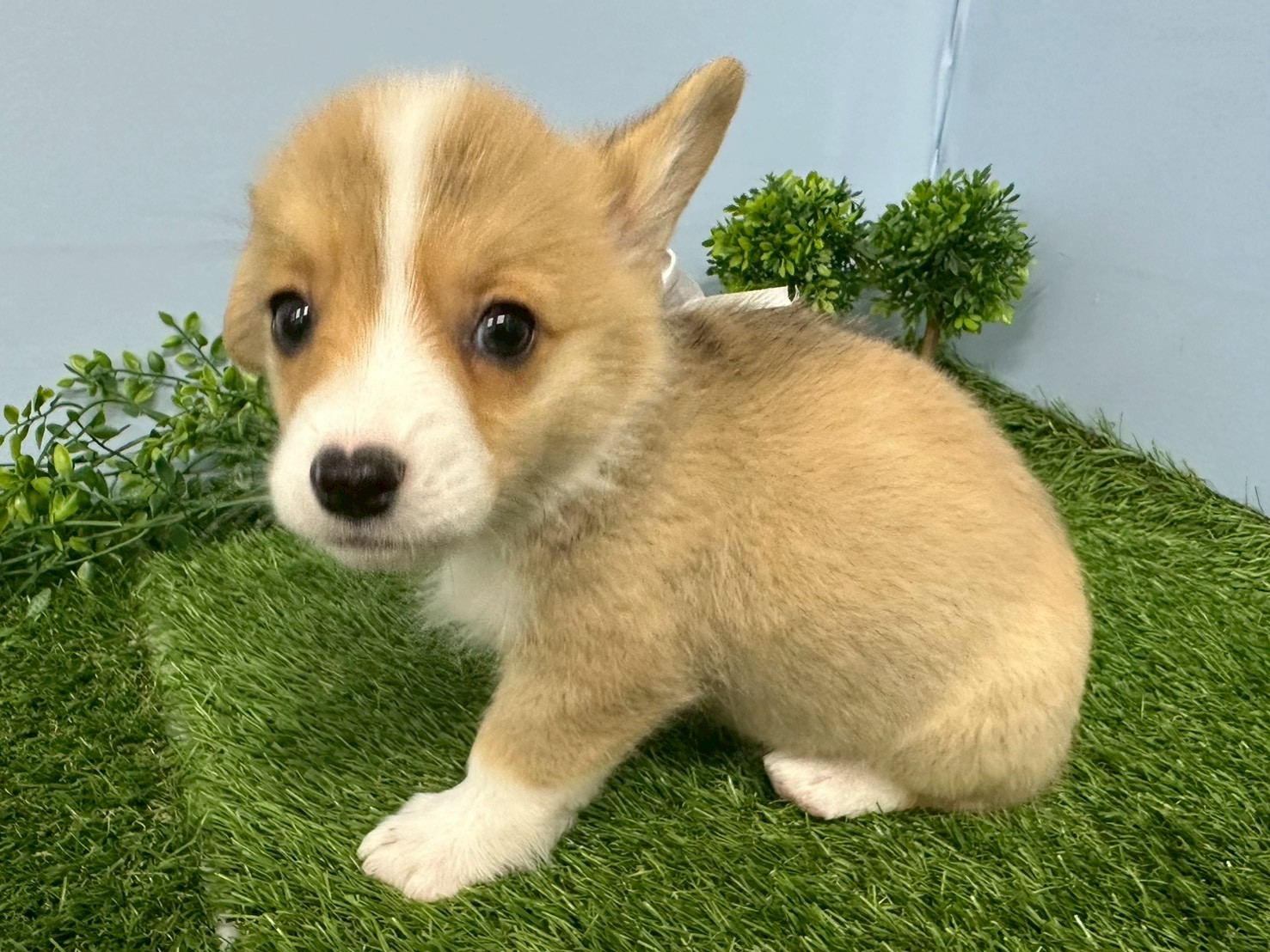 赤ちゃん写真3-2