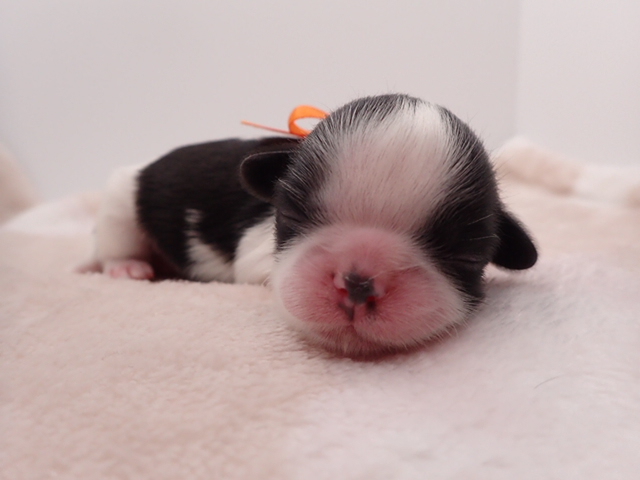 赤ちゃん写真1-1